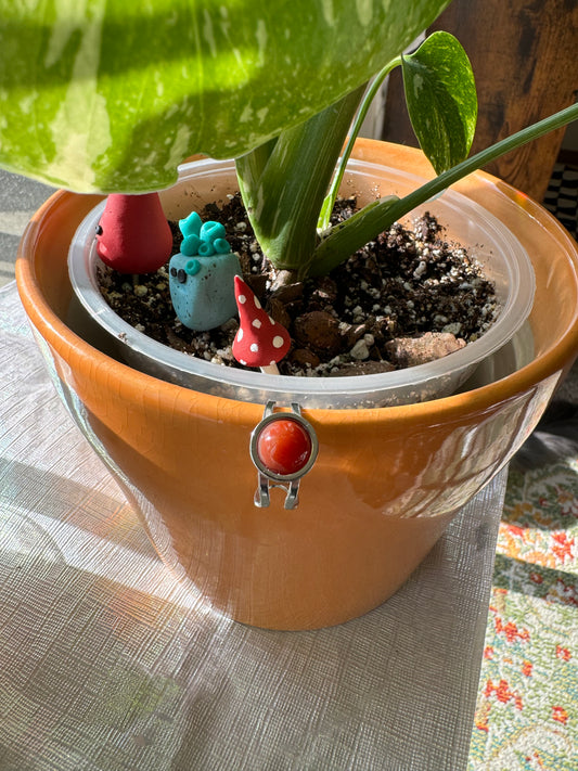 Silver Carnelian Ring